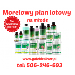 Zestaw lotowy na młode Bartosza Morela + PLAN LOTOWY